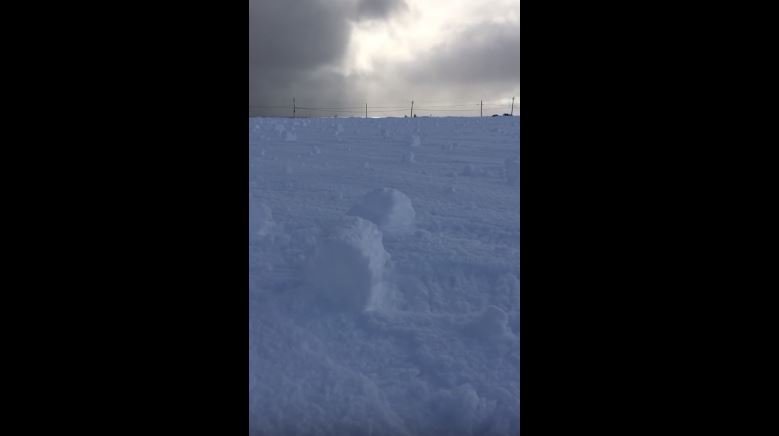 Click to enlarge snow rollers in Newfoundland