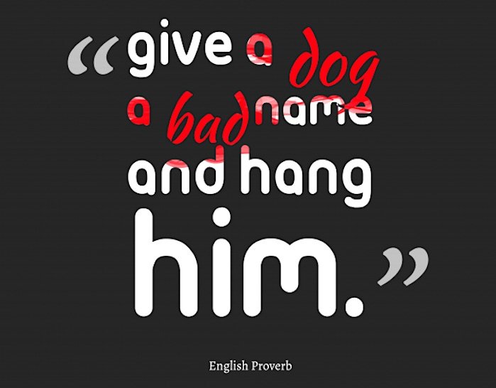 Give a dog...