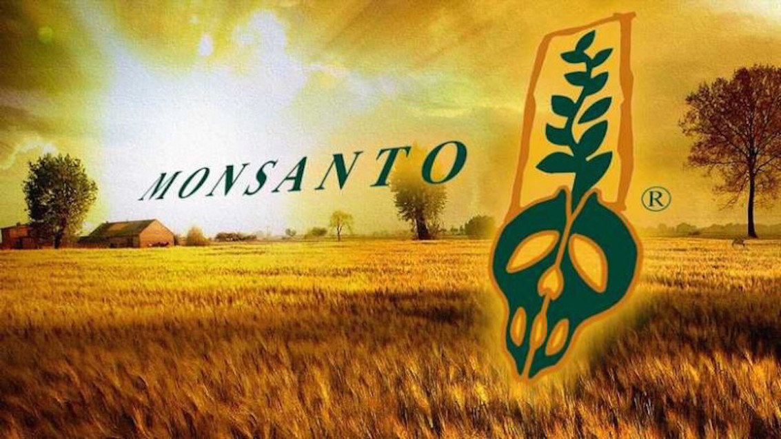 Click to enlarge monsanto