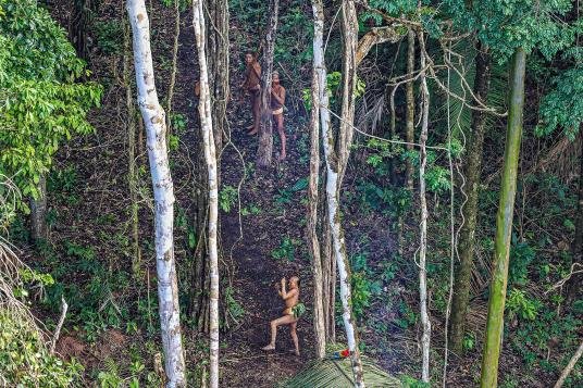 Click to enlarge Indians warily watch a helicopter while one strings his bow
