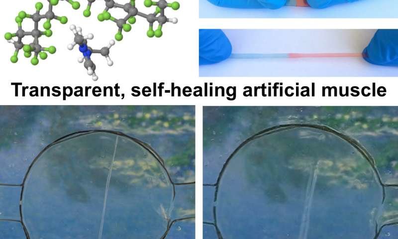 self healing artificial muscle