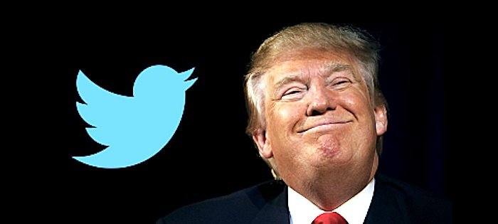 DonaldTwit