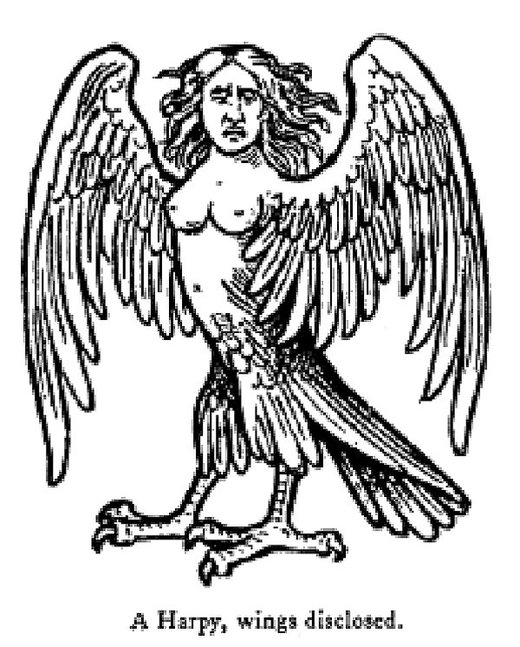 Rise of the War Harpies: The Women Destroying our World