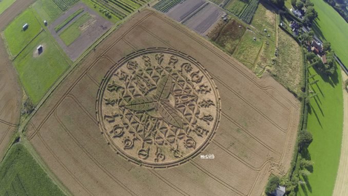 Crop Circle