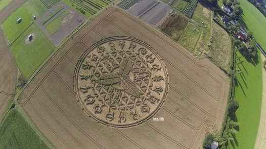 Crop Circle