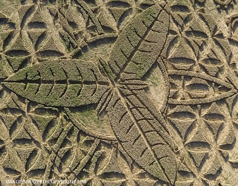 Crop Circle