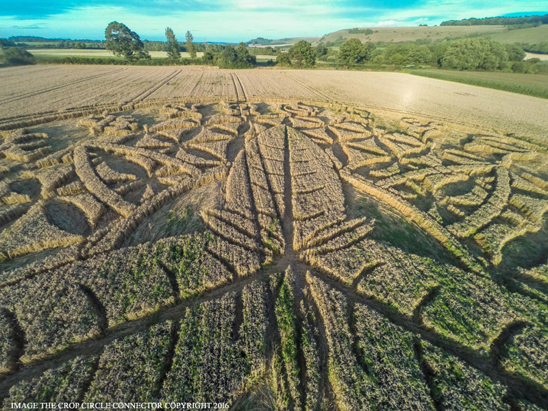 Crop circle