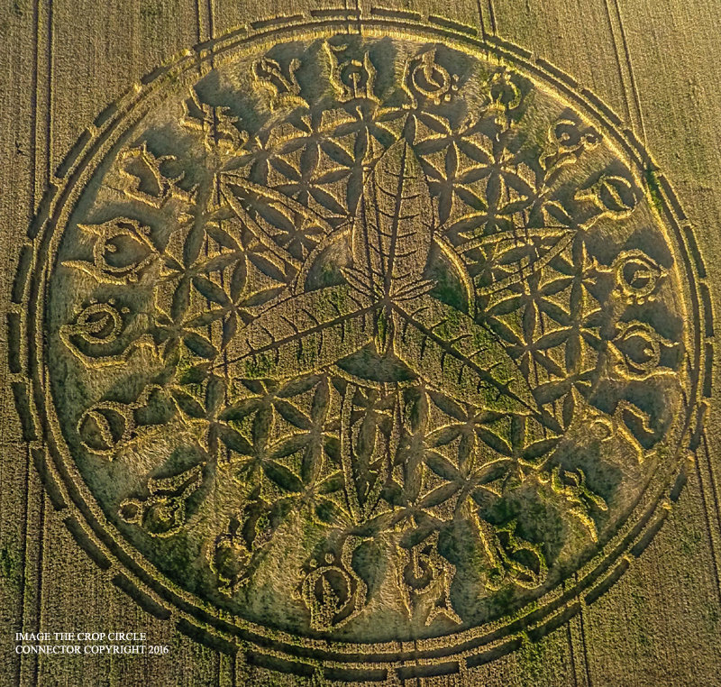 crop circle