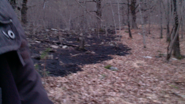 Click to enlarge Wildfire Mesocco, Switzerland patches of burnt forest floor
