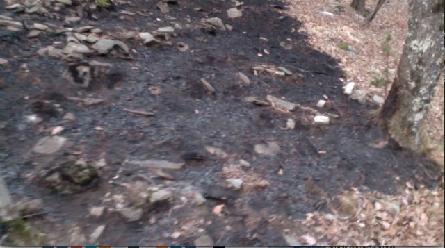 Click to enlarge Wildfire Mesocco, burnt forest ground