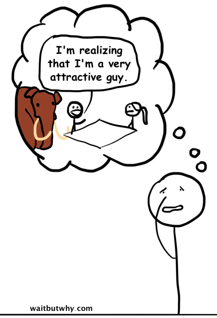 mam11