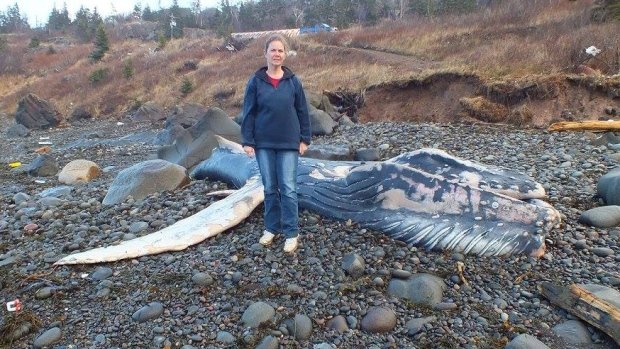 Click to enlarge Jennifer Hope Thibodeau (pictured) and her husband Charles took photos of the whale, and posted them on Facebook.