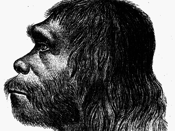 Neanderthal