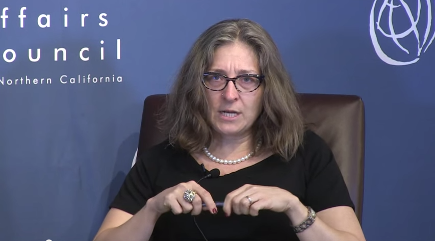 christine fair
