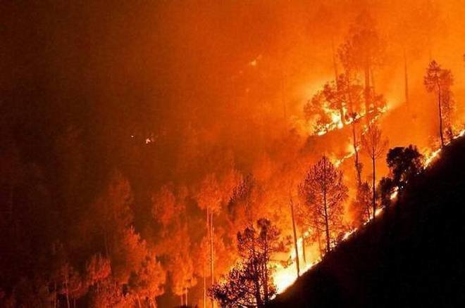 Click to enlarge India forest fires