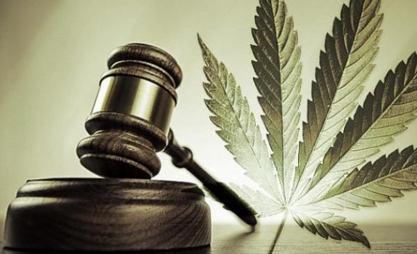 Click to enlarge court weed