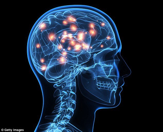 brain