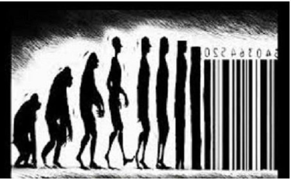 Click to enlarge human evolution