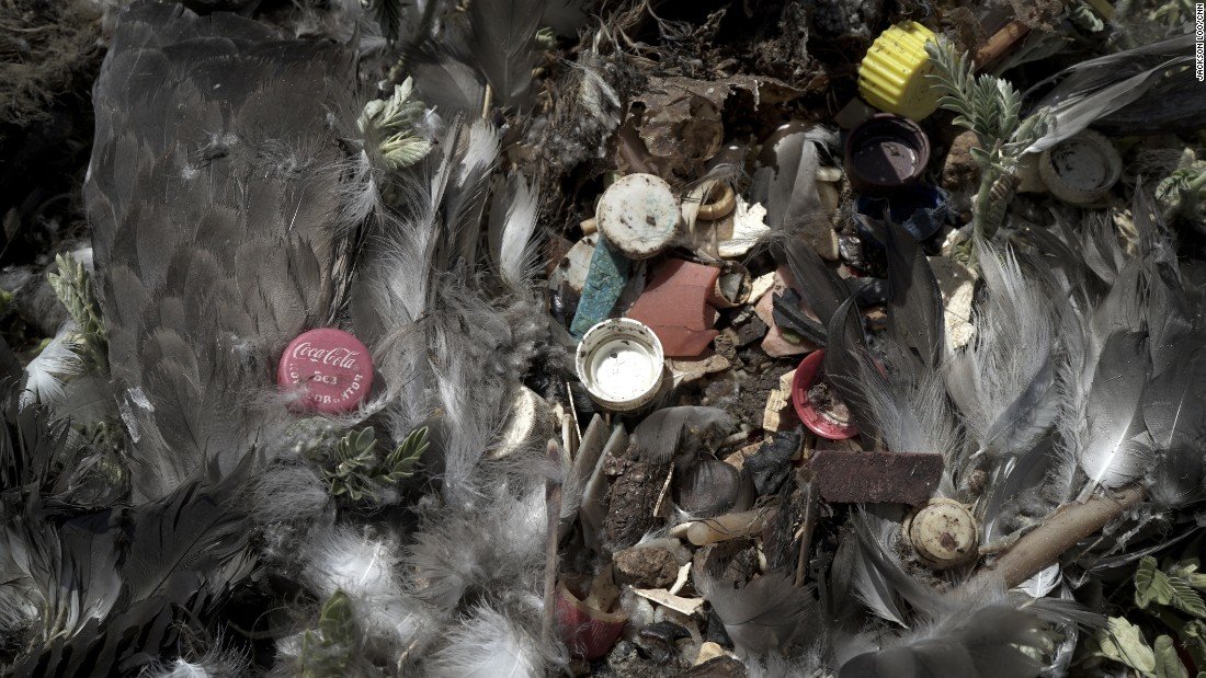 Plastic