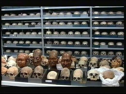 elogated skulls