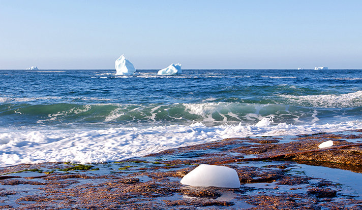 Ocean with ice