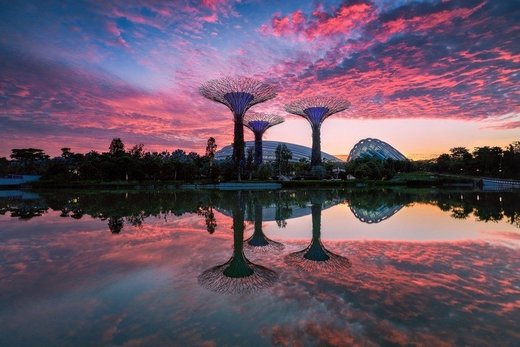 Click to enlarge Trees, reflection