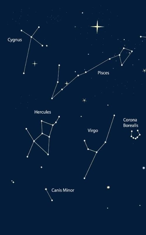 The star will appear in the constellation Cygnus, also know as the Northern Cross 