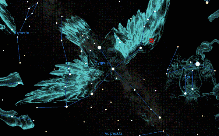The new star, known as the Boom Star, sits just off the right hand wing of Cygnus