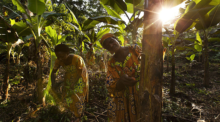 Baka pygmy women