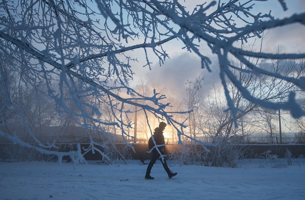 A Moscow resident walks in the street as lows drop to minus 24 degrees Celsius.  