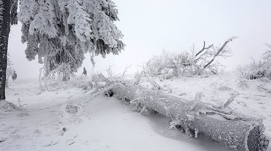 Click to enlarge Winter