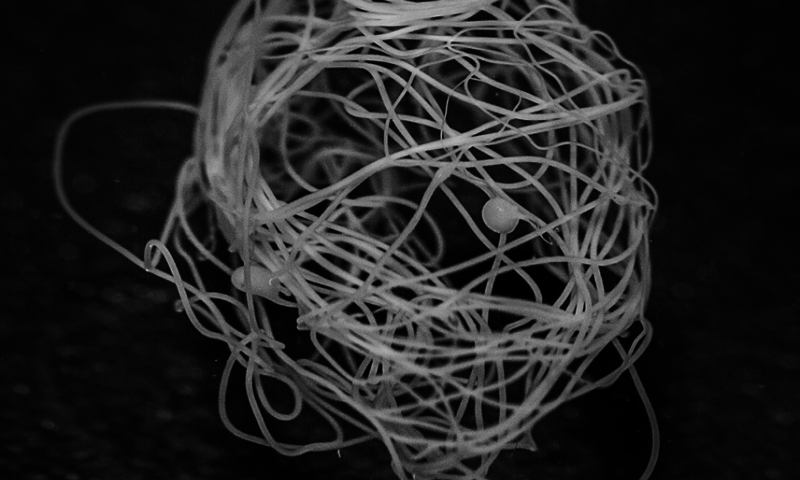 artificial spider silk