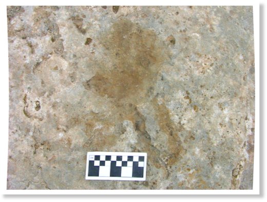 Click to enlarge Tibetan Hand print