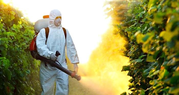 Click to enlarge pesticide distribution