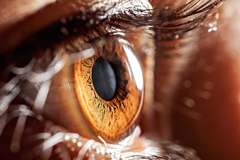 Click to enlarge Eye Human Close Up