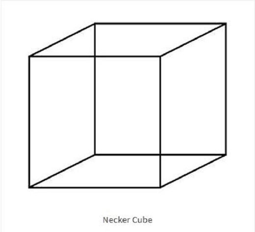 Click to enlarge necker cube