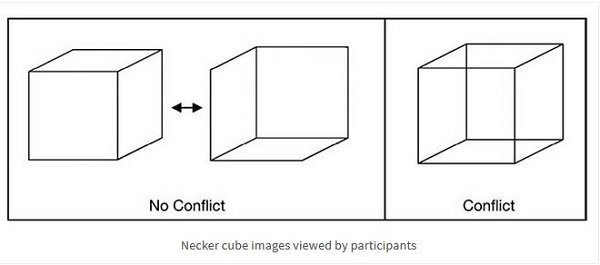 Click to enlarge necker cube