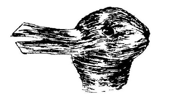 Click to enlarge Rabbit or duck?