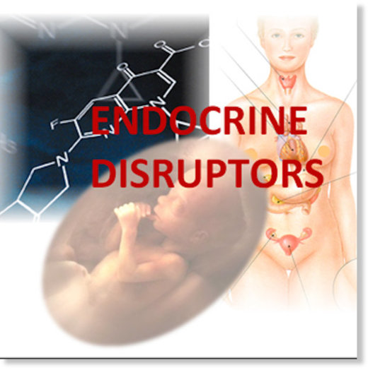 hormone disruptors