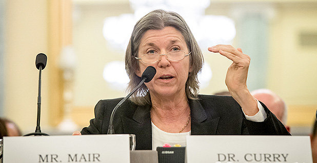 Click to enlarge Judith Curry