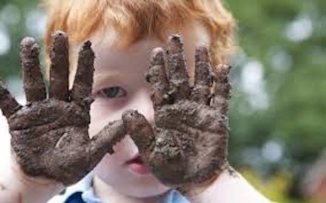 Click to enlarge dirt