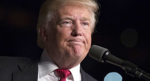 Click to enlarge Trump smear Ukraine dossier