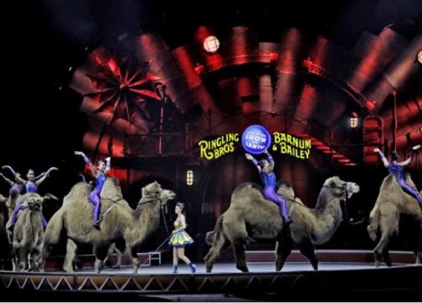 Click to enlarge ringling brothers circus