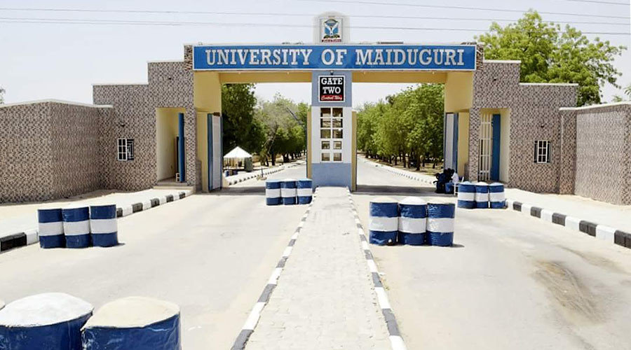Click to enlarge maiduguri