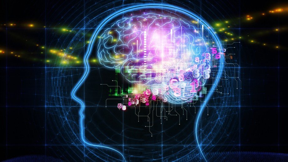 brain, synesthesia