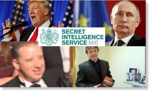 Steele Litvinenko