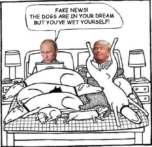 Trump and Putin cartoon