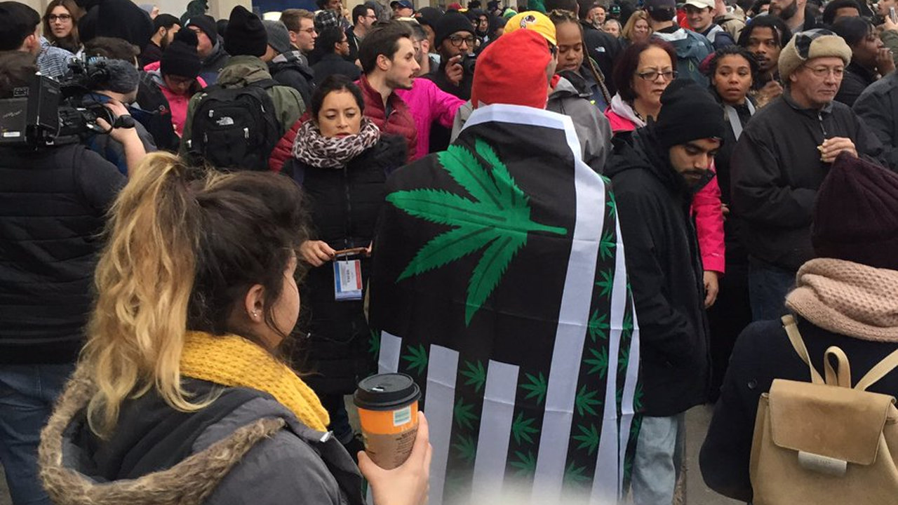 Click to enlarge Marijuana protest