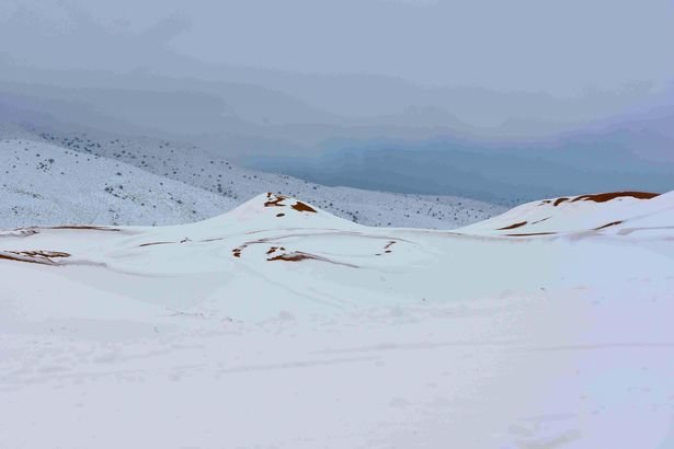  The sand dunes were turned into snow-covered hills  