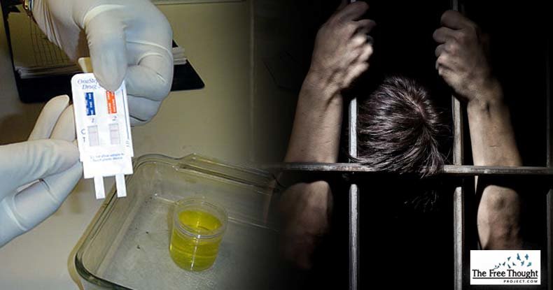 Jailed for falsified drug charges